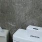 Smart Toilet Flusher